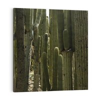 Obraz na płótnie 60x60 - Wyjątkowy Klimat Boho - kaktusy, pustynia