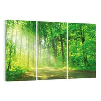 Obraz na płótnie 120x80 - Urok lasu na drodze - las, drzewa