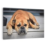 Obraz na płótnie 120x80 - Wernisaż piesek i zwierzaki - pies, piesek