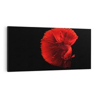 Obraz na płótnie 120x60 - Ryba wśród fal - ryba, morze