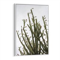 Obraz w ramie 80x120 - Ekskluzywna Roślinność - kaktusy, liście - rama biała