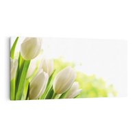 Obraz na płótnie 120x60 - delikatność kwiatów - tulipany, kwiat