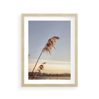 Plakat w ramie 40x50 - Naturalna Delikatność - trawy, boho - rama drewno