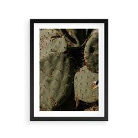 Plakat w ramie 30x40 - Urok Egzotyki - kaktusy, boho - rama czarna