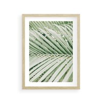 Plakat w ramie 40x50 - Liście Palmy: Egzotyczna Grafika - palma, liście palmy - rama drewno