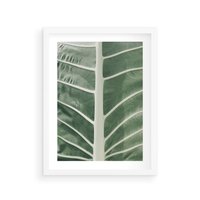 Plakat w ramie 30x40 - Zielone Wielkości: Zbliżenie Liścia - zbliżenie duz liść, jasna zieleń - rama biała