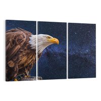 Obraz na płótnie 120x80 - Orzeł w niebieskiej przestrzeni - orzeł, ptak