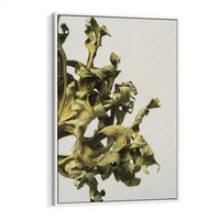 Obraz w ramie 50x70 - Odejście pory deszczowej - suche, trawy - rama biała