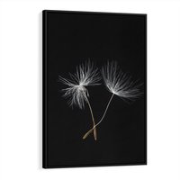 Obraz w ramie 50x70 - Delikatność Wiatru - dmuchawce, makro - rama czarna