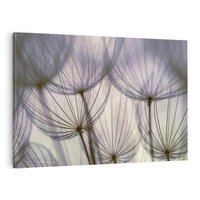 Obraz na płótnie 120x80 - Makro dmuchawiec - piękno drobnych detali - dmuchawce, makro