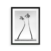 Plakat w ramie 30x40 - Samotne Palmy - czarno biała fotografia, dwie samotne palmy - rama czarna