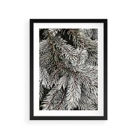 Plakat w ramie 50x70 - Cisza Zimowej Natury - zima, iglaste gałązki - rama czarna