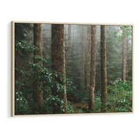 Obraz w ramie 70x50 - Mgliste Marzenia - artystyczna fotografia, las - rama drewno