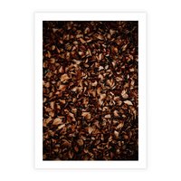 Plakat bez ramy 50x70 - Jesienny Dywan - dywan z suchych liści, jesień