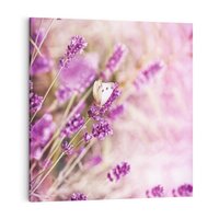 Obraz na płótnie 50x50 - Majestat lawendy: fioletowe pola - lawenda, fiolet