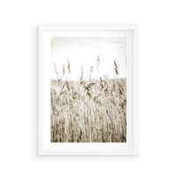 Plakat w ramie 30x40 - Nostalgiczny Pejzaż - suche trawy, pole - rama biała