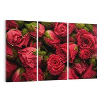 Obraz na płótnie 120x80 - Piękno róż: delikatność natury - róże, kwiaty