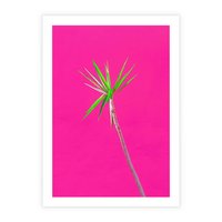 Plakat bez ramy 40x50 - Retro Stylizacja - palma, liście