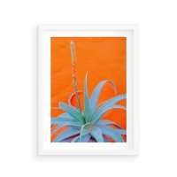 Plakat w ramie 40x50 - Naturalna Harmonia - kaktusy, liście - rama biała
