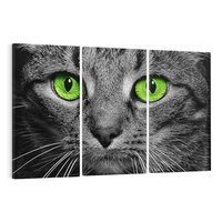 Obraz na płótnie 120x80 - Przestreń nautra doznania - kot, kotek