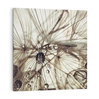 Obraz na płótnie 80x80 - Lekkie dmuchawce - dmuchawce, krople