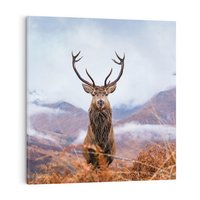 Obraz na płótnie 50x50 - Jeleń w Uśpionym Krajobrazie - jeleń na tle gór, ośnieżone góry
