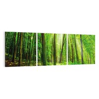 Obraz na płótnie 120x40 - Spacer po urokliwej dróżce w lesie - las, dróżka