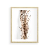Plakat w ramie 40x50 - Minimalizm Palmowy: Sucha Uroda - sucha palma, minimalizm - rama drewno