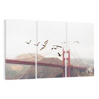 Obraz na płótnie 120x80 - Mewy przy Złotej Bramie - mewy, Golden Gate