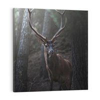 Obraz na płótnie 40x40 - Jeleń wśród lasu - jeleń, las