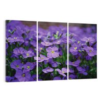 Obraz na płótnie 120x80 - Kwiatowe uniesienia magia natury - kwiat, kwiaty