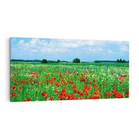 Obraz na płótnie 140x70 - Kolorowa łąka pełna maku - łąka, maki