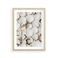 Plakat w ramie 30x40 - Białe Muszle - białe muszle, ujęcie z góry - rama drewno