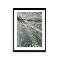 Plakat w ramie 40x50 - Jasnozielony Świat - palma, liść - rama czarna