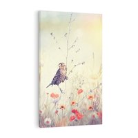 Obraz na płótnie 80x120 - Poranek wśród łąki - ptak, łąka