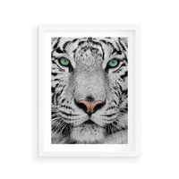 Plakat w ramie 30x40 - Magia Białego Tygrysa - biały, tygrys - rama biała