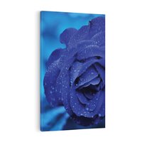 Obraz na płótnie 50x70 - Róża w pełnym rozkwicie - róża, kwiat