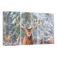 Obraz na płótnie 120x80 - Monarcha Zimowej Dziczy - jeleń, zima