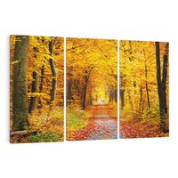 Obraz na płótnie 120x80 - Jesień w lesie - las, drzewa