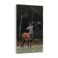 Obraz na płótnie 80x120 - Spotkanie z naturą - jeleń, las