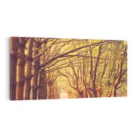 Obraz na płótnie 100x50 - Wędrówka między drzewami - droga, drzewa