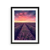 Plakat w ramie 30x40 - Różowe Niebo nad Polami - pola lawendy, zachód słońca - rama czarna