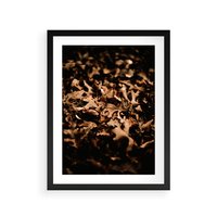 Plakat w ramie 40x50 - Jesienne Liście: Nostalgiczna Kolorystyka - suche liście, jesień - rama czarna