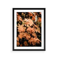 Plakat w ramie 40x50 - Ciepło Jesieni - jesienne pomarańczowe liśćie, jesień - rama czarna
