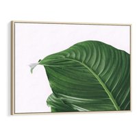 Obraz w ramie 70x50 - Zielone liście monstery - liście, monstera - rama drewno