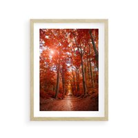 Plakat w ramie 50x70 - Magia jesiennego lasu - las, jesień - rama drewno