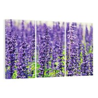 Obraz na płótnie 120x80 - Lawendowa Mgła - lawenda, kwiat
