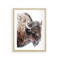Plakat w ramie 50x70 - Obraz Dzikiej Przyrody w Śnieżnym Otoczeniu - żubr, śnieg - rama drewno
