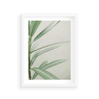 Plakat w ramie 30x40 - Minimalistyczna Tropikalna Harmonia - tropikalna roślina, zielone liście - rama biała