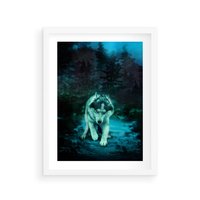 Plakat w ramie 30x40 - Siła i wdzięk natury - wilk, husky - rama biała